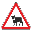Дорожный знак 1.26 «Перегон скота» (металл 0,8 мм, II типоразмер: сторона 900 мм, С/О пленка: тип А коммерческая)